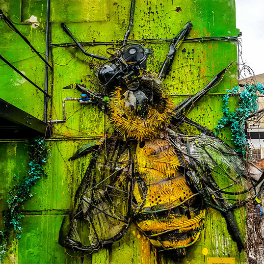 Venture along Lisbon's street art rout